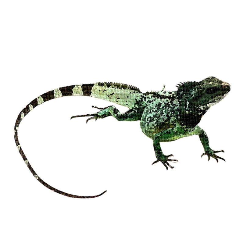 Northern Leopard Frog Sticker, art stickers, art, stickers