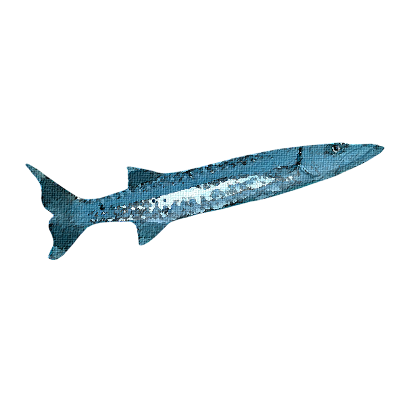 "Great Barracuda" Sticker