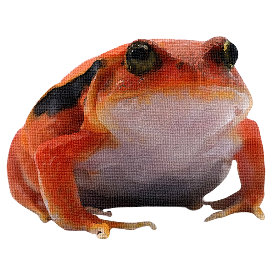 Tomato Frog Sticker, art stickers, art, stickers