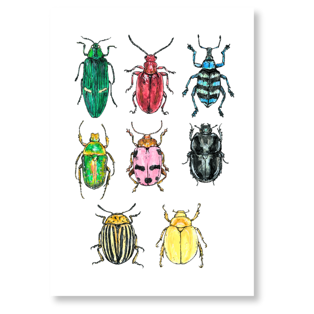 Art print poster featuring various colorful beetles displayed in an artistic arrangement.