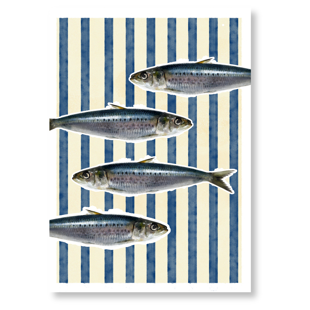 A colorful print featuring four sardines swimming on a blue and white striped background, titled "Swimming Sardines Print."
