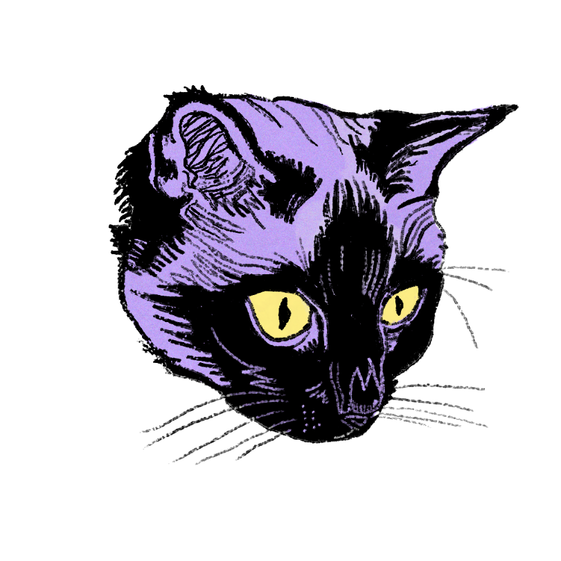 "Purple Cat" Sticker