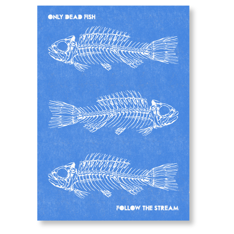"Only Dead Fish" Print