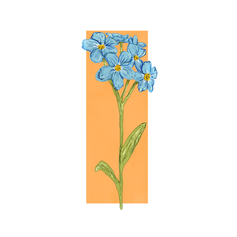 "Forget-Me-Not" Sticker