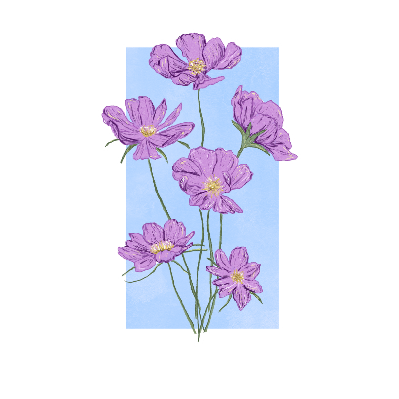 "Cosmos" Sticker