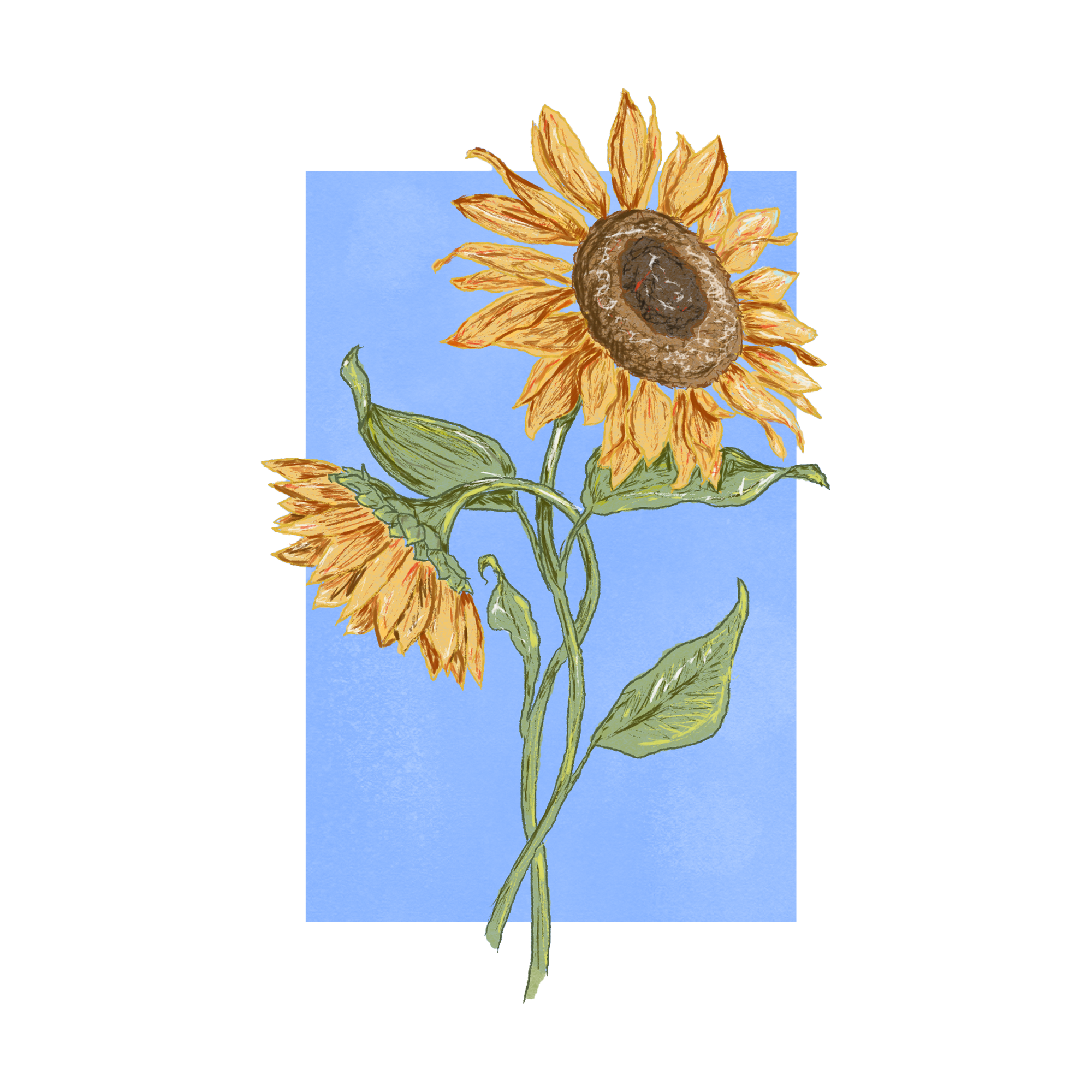 Northern Leopard Frog Sticker, art stickers, art, stickers